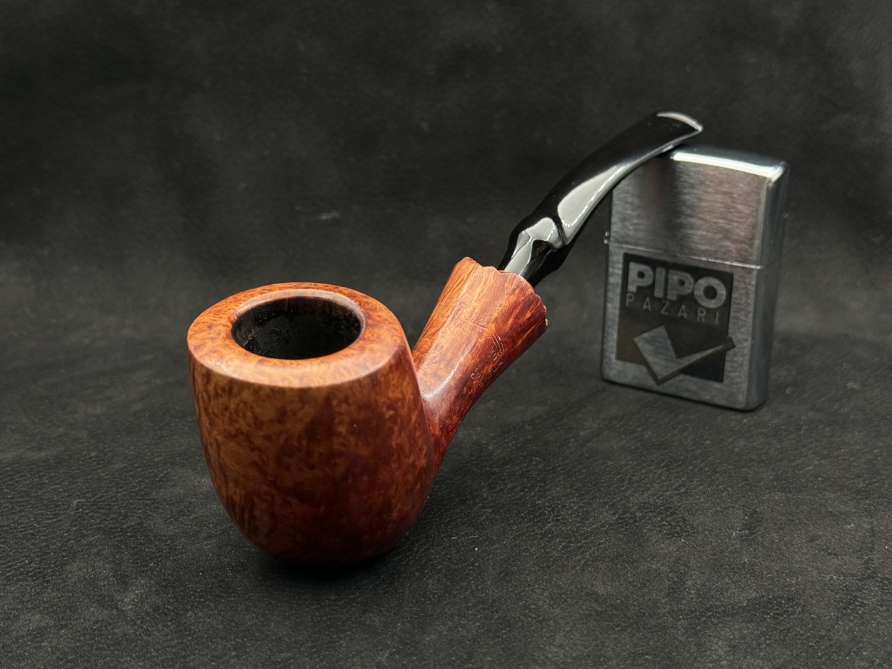 SAVİNELLİ SIGLA PLATO SHANK